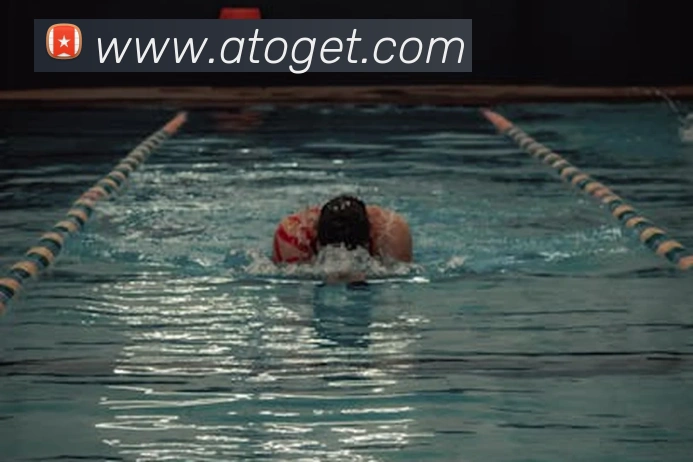 新半岛官网平台生态图